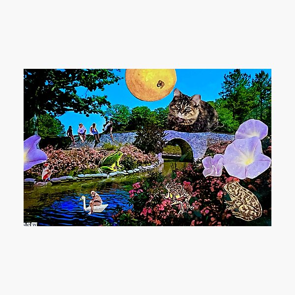 Big Cat at the Norfolk VA Botanical Gardens Photographic Print
