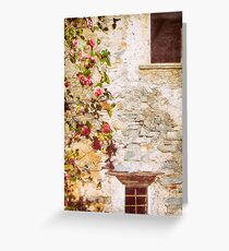 Camelia flowers and decayed house Greeting Card