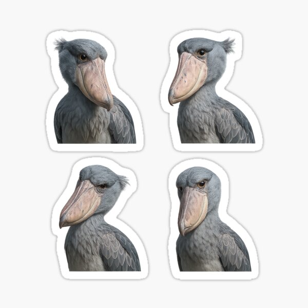 Item preview, Curious Shoebill Quartet – Expressive Bird Sticker Set 3 designed and sold by SUNAGIMO9999.