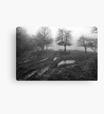 Solymár, Hungary Canvas Print
