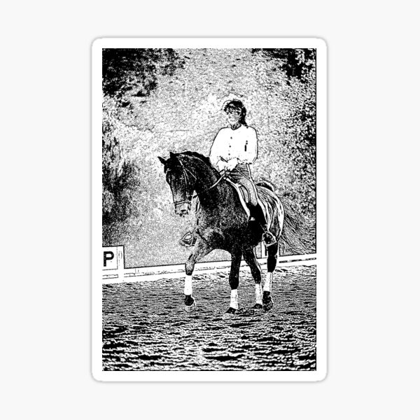 Item preview, C2025 STEVE YELLOWBEAR DRESSAGE EN NOIR ET BLANC designed and sold by SteveYellowbear.