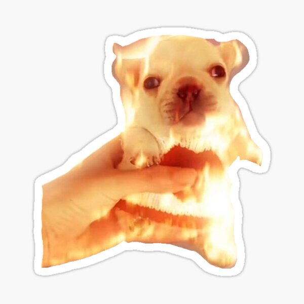 Item preview, Pibble on Fire designed and sold by Esow Moss.