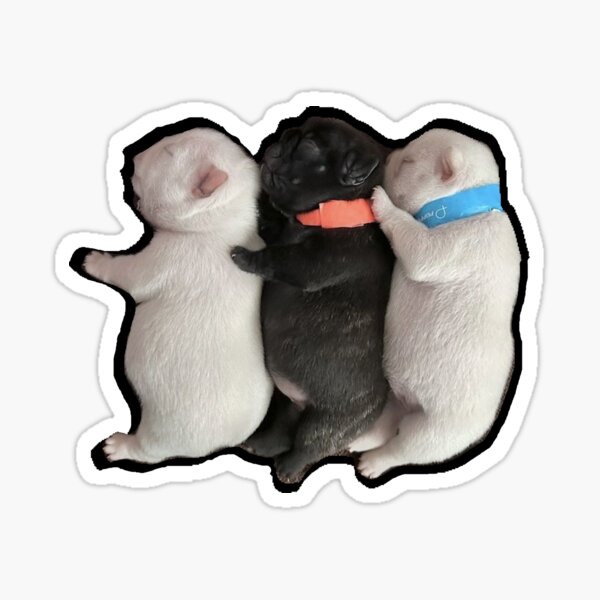 Item preview, 3 Pibbles Love designed and sold by Esow Moss.