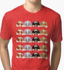 Australian Shepherd Puppies all 4 colors Tri-blend T-Shirt