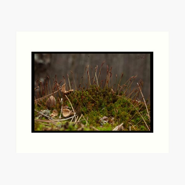 Item preview, mossy hillside designed and sold by ObjectsObserved.