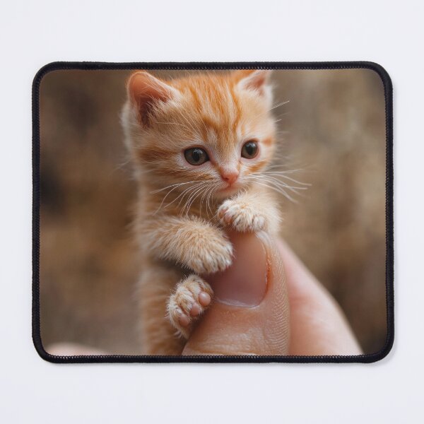 Item preview, Mini cat, thumb toy, finger toy designed and sold by ARTelierDigital.