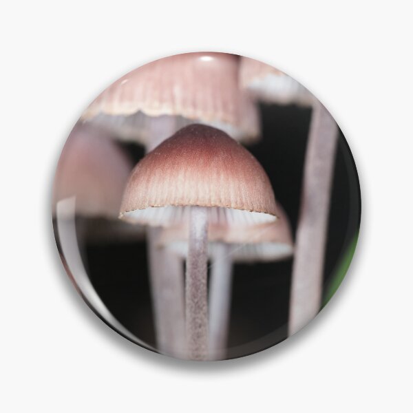 Item preview, Mycena mushrooms designed and sold by SDym Photography.