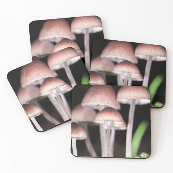 Item preview, Mycena mushrooms designed and sold by SDym Photography.