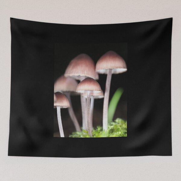 Item preview, Mycena mushrooms designed and sold by SDym Photography.