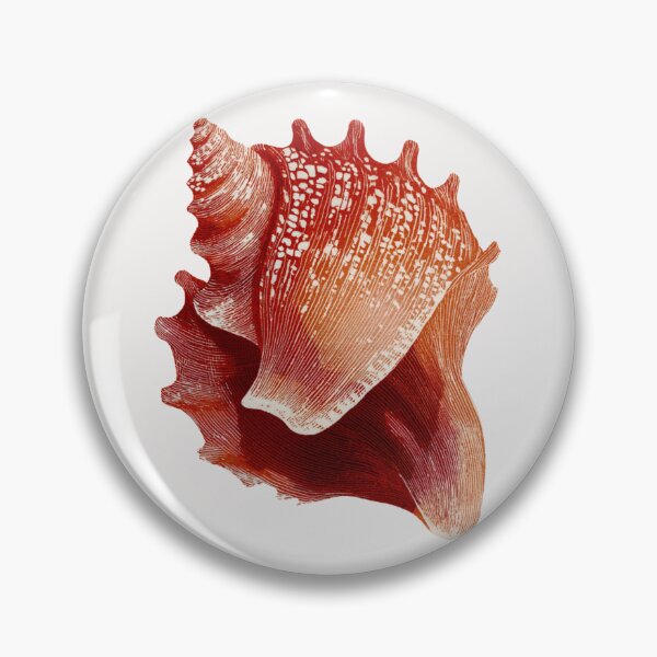 Item preview, Seashell designed and sold by MendaciousMina.