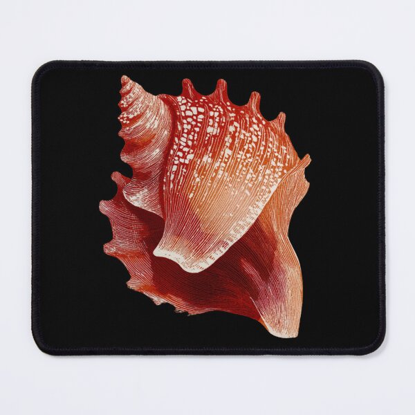 Item preview, Seashell designed and sold by MendaciousMina.