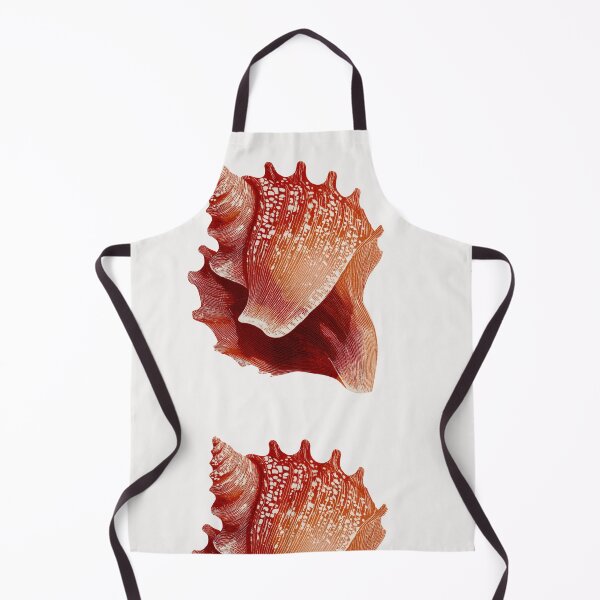 Item preview, Seashell designed and sold by MendaciousMina.