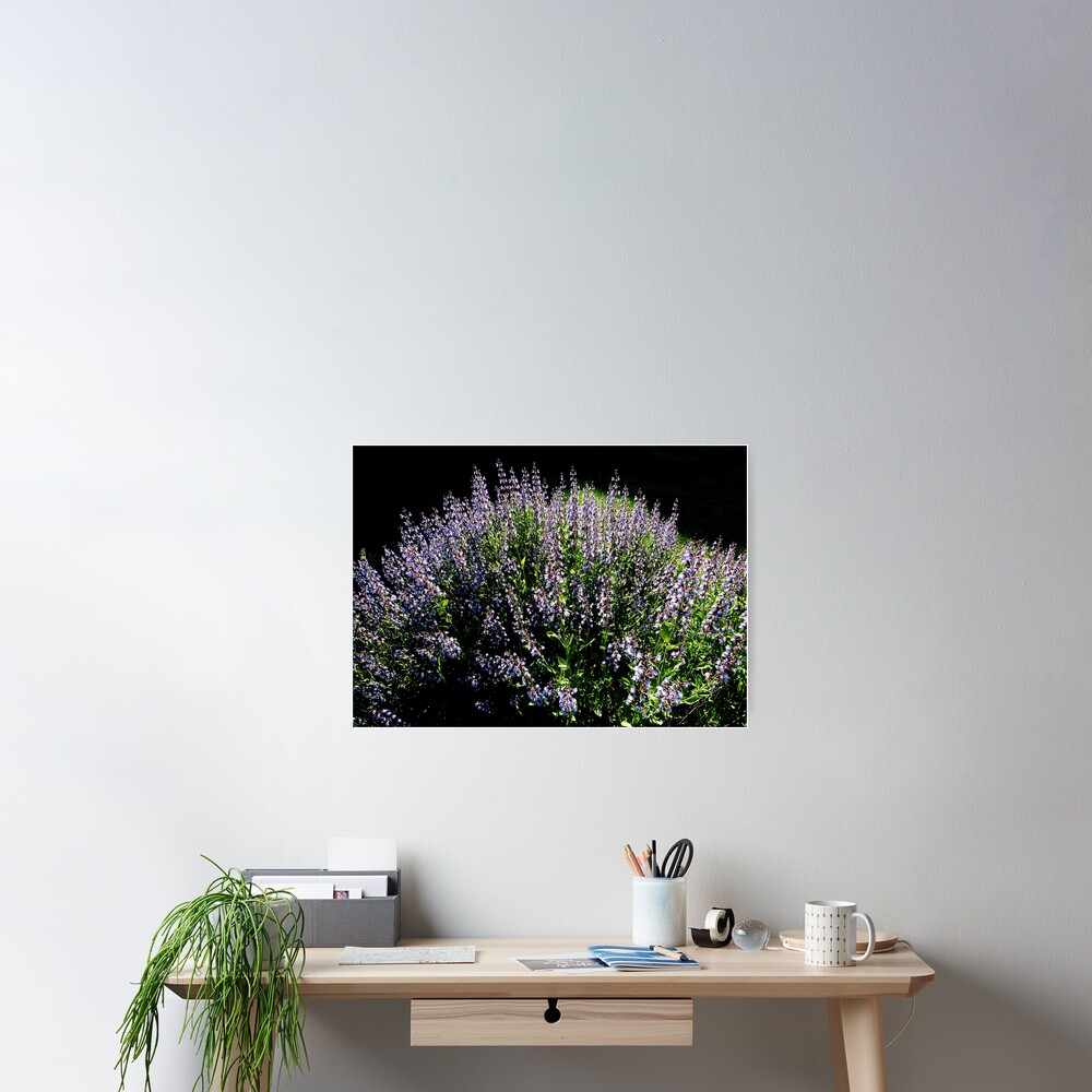 Purple Profusion Poster