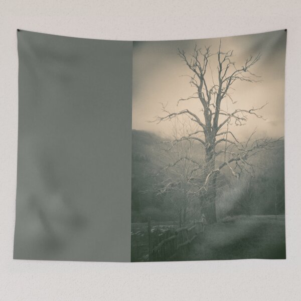 Item preview, 2015 Vecchio albero designed and sold by robertoferrero.