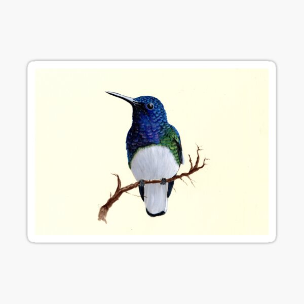 Item preview, Beautiful Hand painted Tropical Hummingbird designed and sold by MeshaArts.