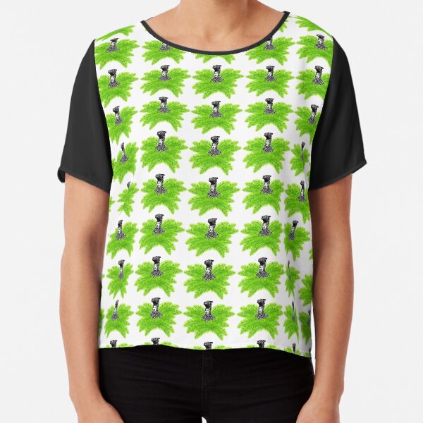 Lee Kwang Soo Chiffon Top