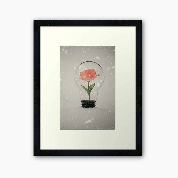 Frozen Rose Framed Art Print