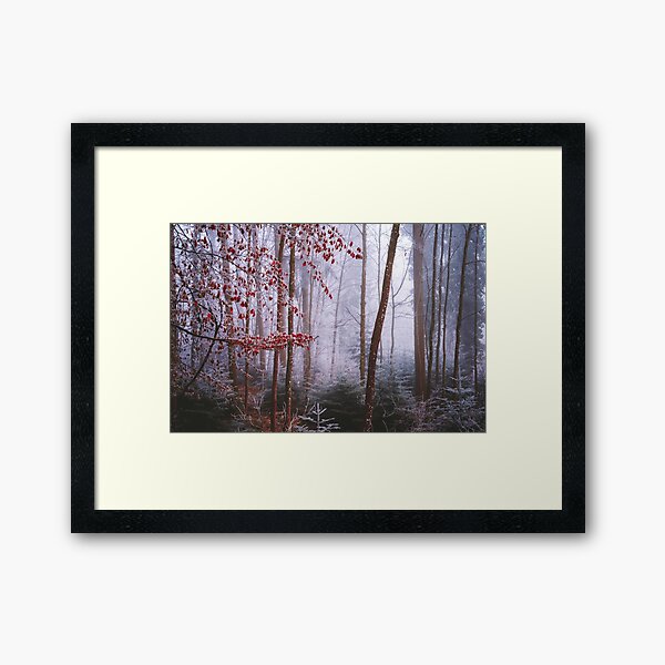 Forst II Framed Art Print