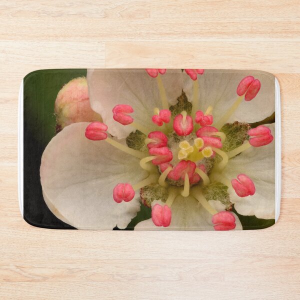 Item preview, Extreme Macro of Aronia Melanocarpa Flower designed and sold by Goiko7Margarita.