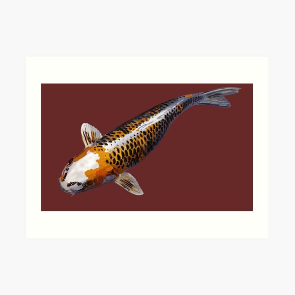 Poisson Wall Art Redbubble
