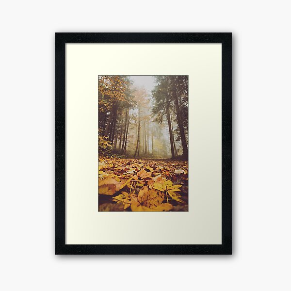 Autumn Framed Art Print