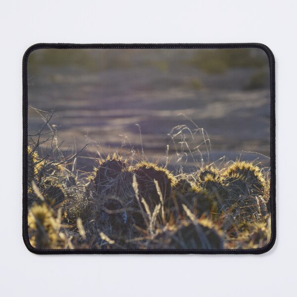Item preview, Canyonlands Cacti Photo designed and sold by Cool Gal, Cool Cats.