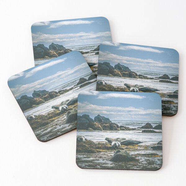 Item preview, Seals at Snaefellsnes Peninsula - Frames from Iceland #58 designed and sold by LucaRamble.