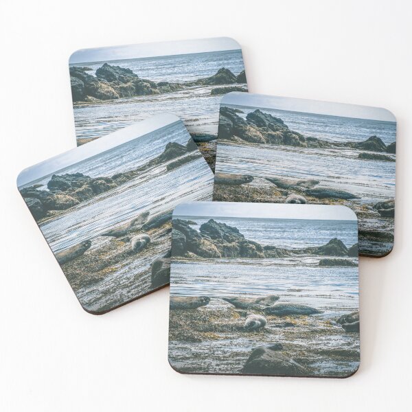 Item preview, Seals at Snaefellsnes Peninsula - Frames from Iceland #59 designed and sold by LucaRamble.