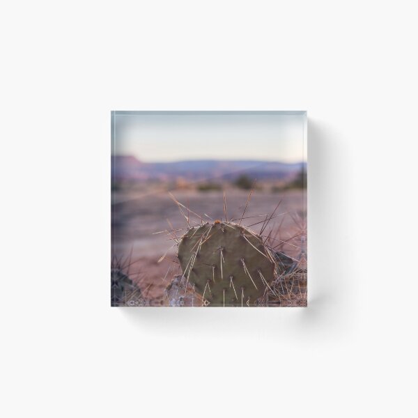 Item preview, Sunrise Cactus Photo designed and sold by Cool Gal, Cool Cats.