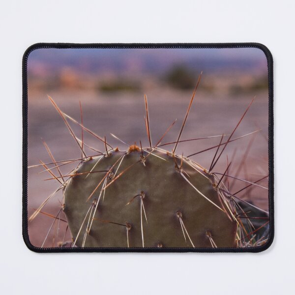 Item preview, Sunrise Cactus Photo designed and sold by Cool Gal, Cool Cats.