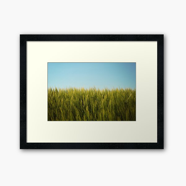 wheat Framed Art Print