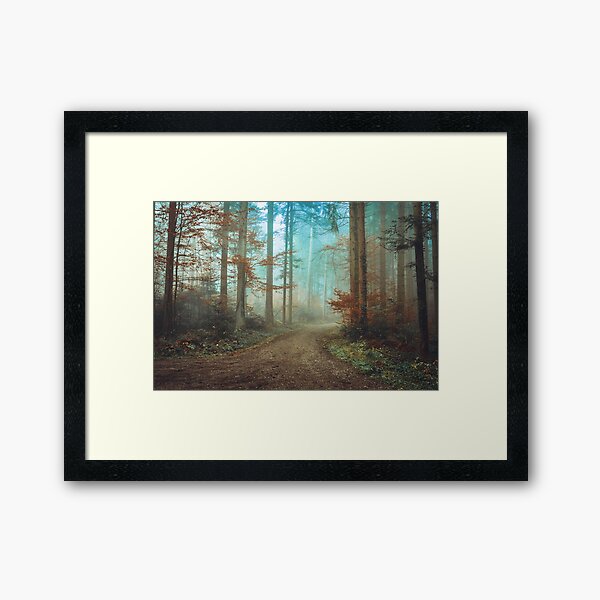 Mystic path Framed Art Print