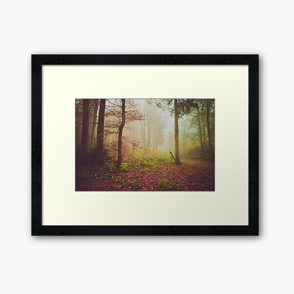 Vailed in tranquility Framed Art Print