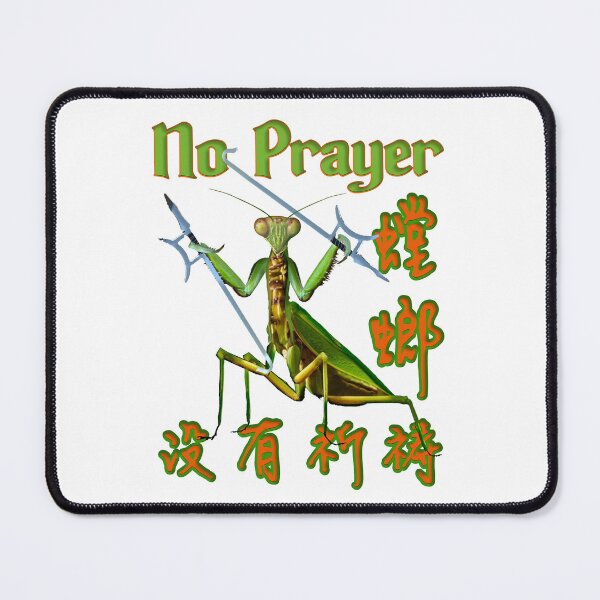 Item preview, Praying Mantis, Depiction of Praying Mantis with Kung Fu Weapons designed and sold by picaflorstore.