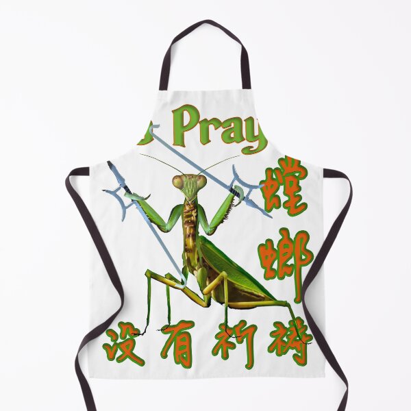 Item preview, Praying Mantis, Depiction of Praying Mantis with Kung Fu Weapons designed and sold by picaflorstore.