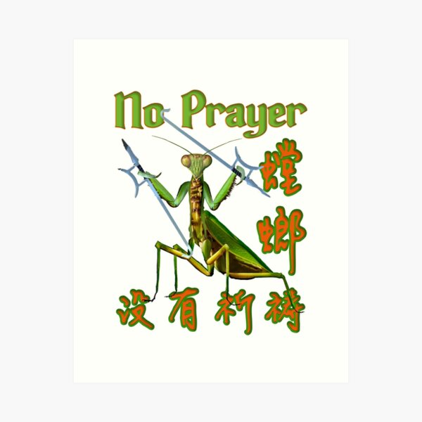 Item preview, Praying Mantis, Depiction of Praying Mantis with Kung Fu Weapons designed and sold by picaflorstore.