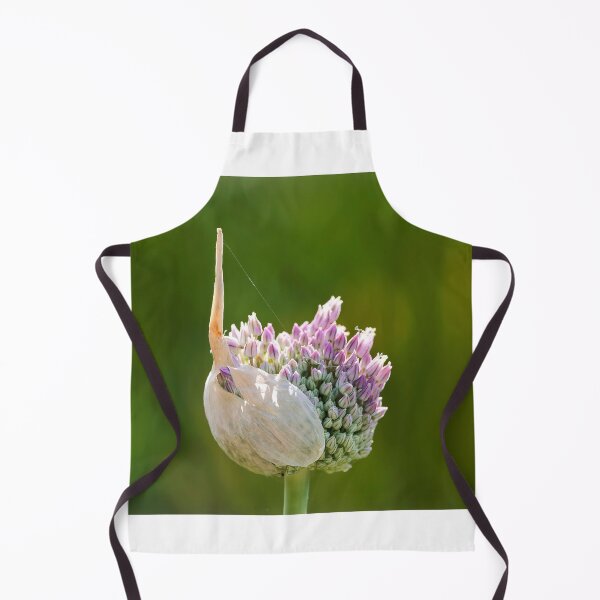 Item preview, Allium Unfolding and Shedding Outer Skin designed and sold by Dorset Girl.