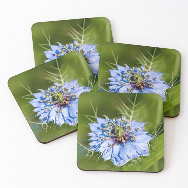 Item preview, Love-in-a-mist - Nigella-damascena  designed and sold by Dorset Girl.