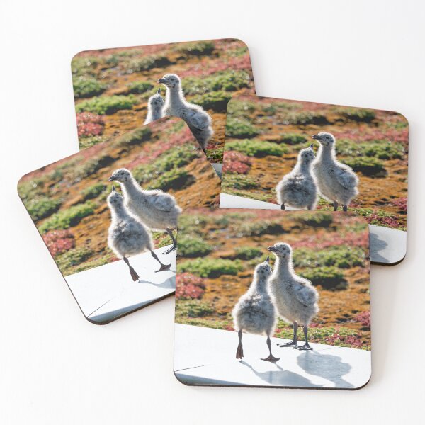 Item preview, Herring Gull Young Chicks on a Mossy Rooftop designed and sold by Dorset Girl.