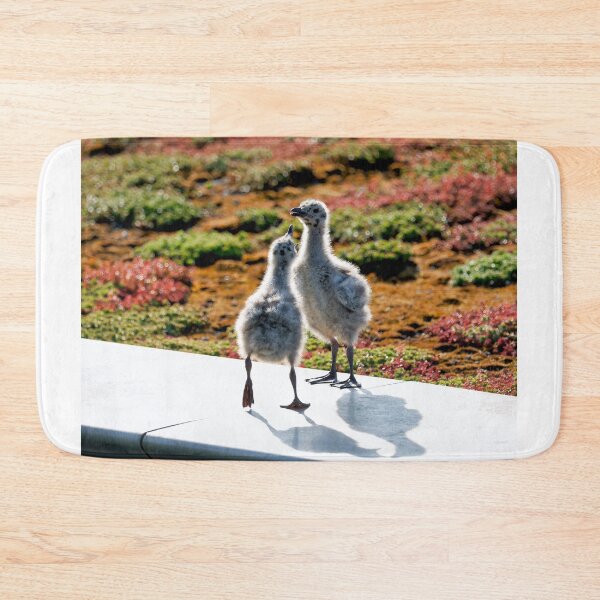 Item preview, Herring Gull Young Chicks on a Mossy Rooftop designed and sold by Dorset Girl.