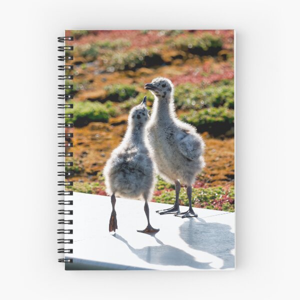 Item preview, Herring Gull Young Chicks on a Mossy Rooftop designed and sold by Dorset Girl.