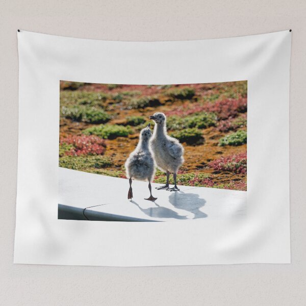 Item preview, Herring Gull Young Chicks on a Mossy Rooftop designed and sold by Dorset Girl.