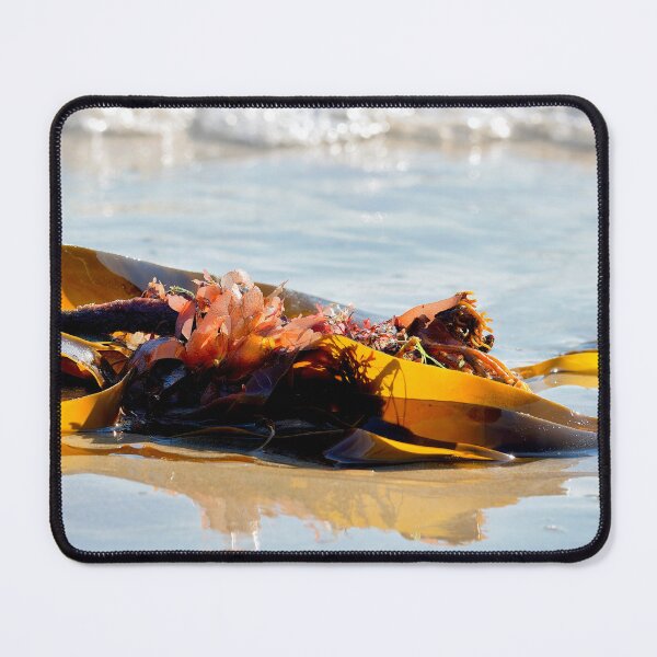 Item preview, A Mixture of Seaweed Washed Up on a Beach at Low Tide designed and sold by Dorset Girl.