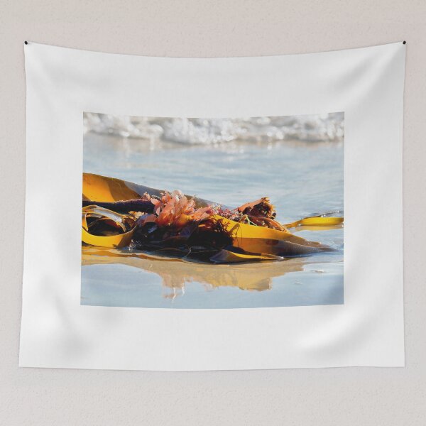 Item preview, A Mixture of Seaweed Washed Up on a Beach at Low Tide designed and sold by Dorset Girl.