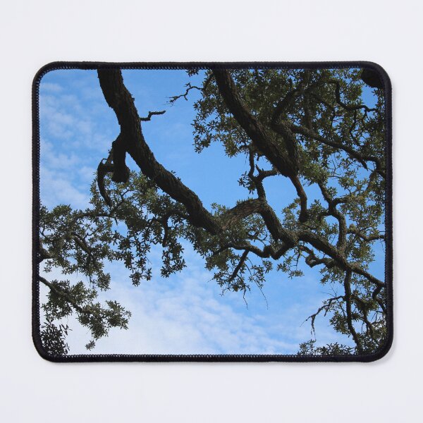 Item preview, Tree Branches Against Blue Sky designed and sold by Cynthia48.