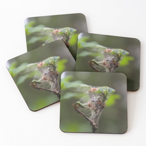 Item preview, Gossamer Refuge designed and sold by CaedKNP.