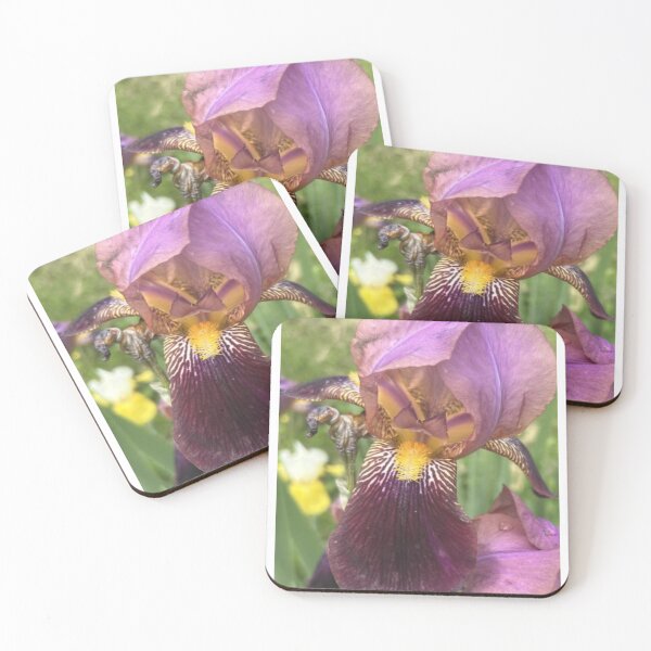 Item preview, Two Tone Purple Iris designed and sold by AliceKacy.