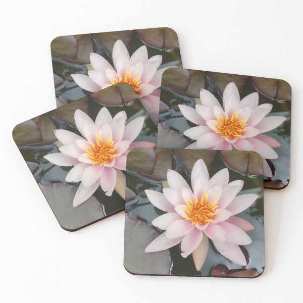 Item preview, Single pink waterlily photograph  designed and sold by esvb.