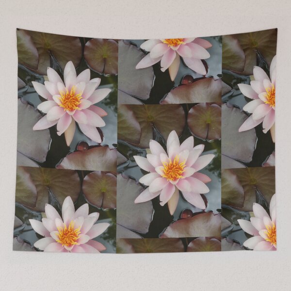 Item preview, Single pink waterlily photograph  designed and sold by esvb.