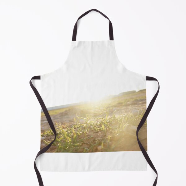 Item preview, Sun Glare designed and sold by J76PR.